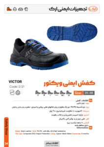 کفش ایمنی ارک